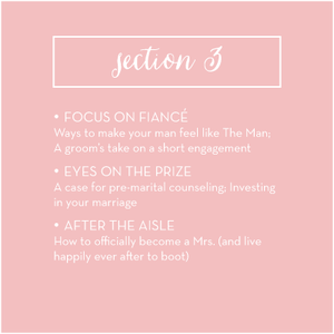 Section 3 overview: How to Plan Your Wedding in Six Months or Less